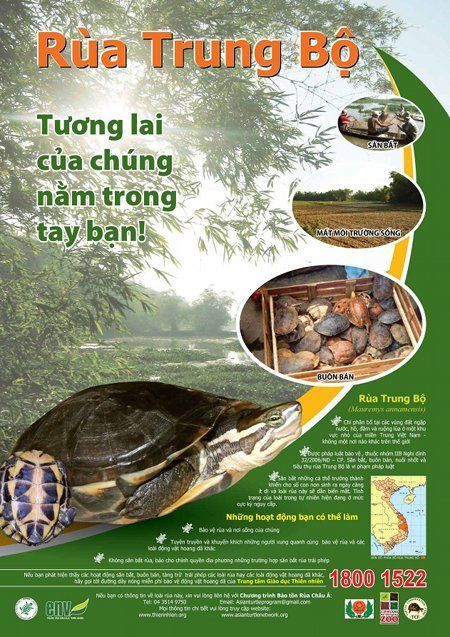 Mơ Bắt Cua: Giải Mã Giấc Mơ, Điềm Báo May Mắn và Con Số Tài Lộc