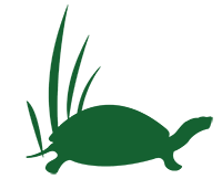 turtle icon