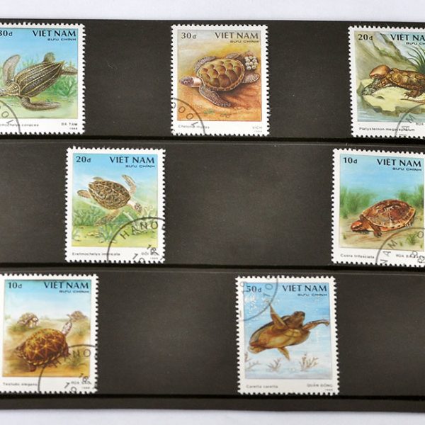 Turtle Stamp Set