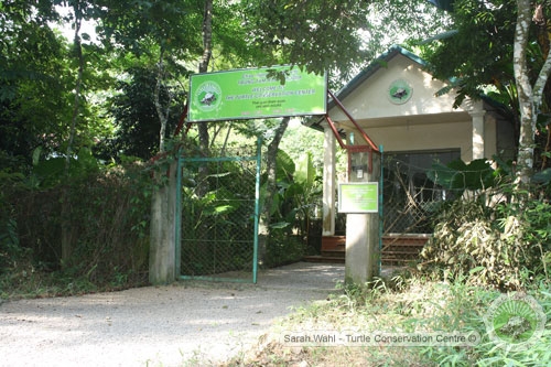 Turtle Conservation Centre