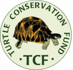 TCF