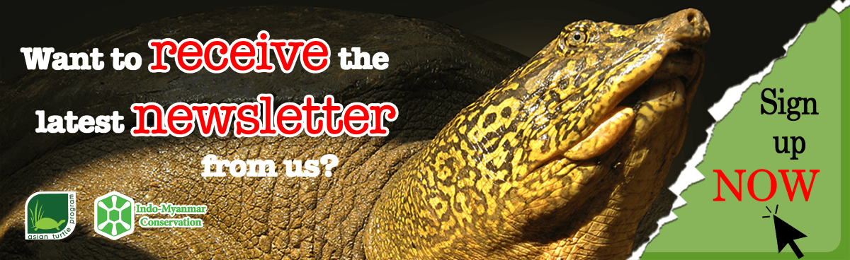 email footer
