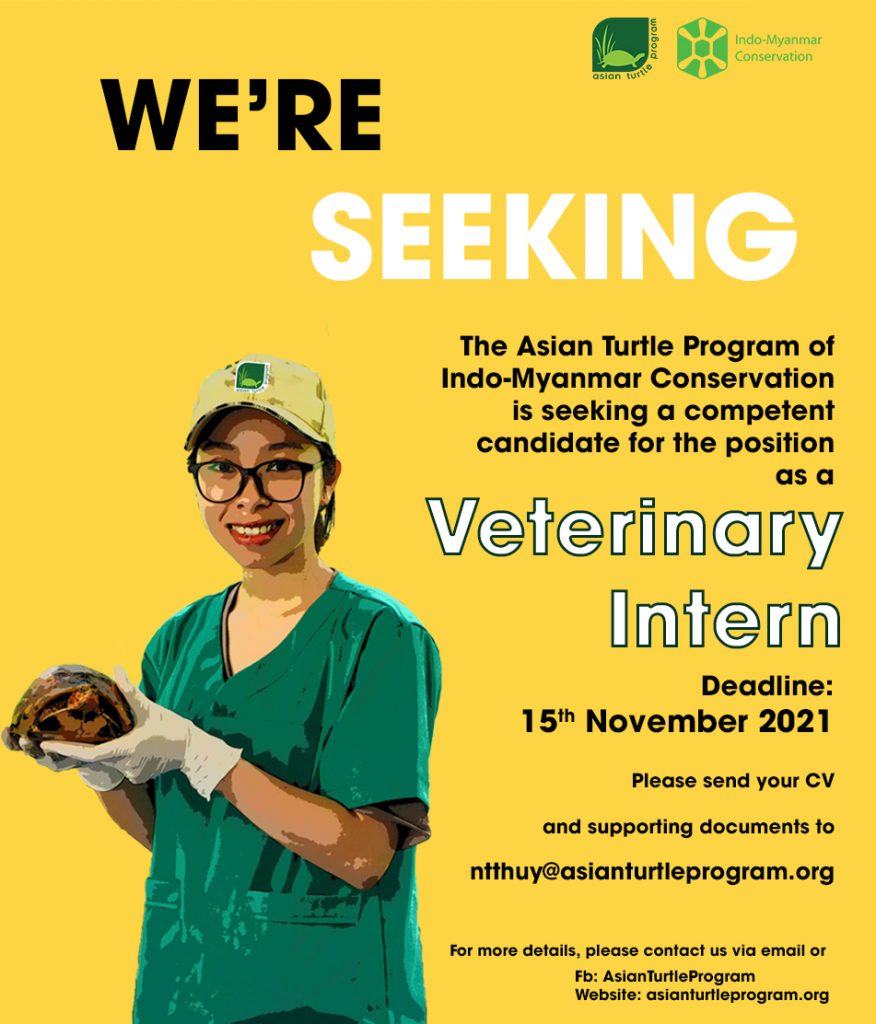 ATP/IMC Veterinary Intern