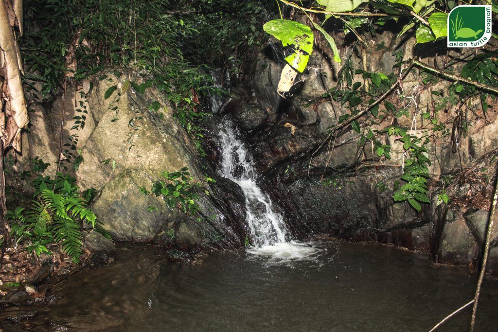 This waterfall with relatively large pool was selected as a good location for one Big-headed Turtle during this release. Photo by: Hoang Van Ha – ATP/IMC.