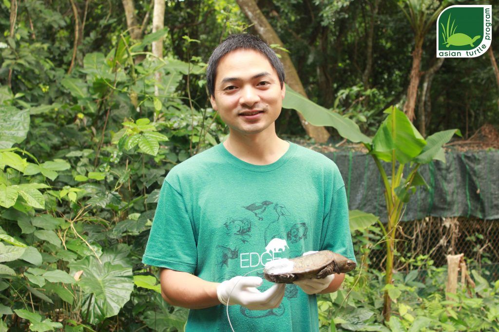 {:en}Post-Release Monitoring Of Rehabilitated Big-headed Turtles In Vietnam{:}{:vi}Theo dõi hậu tái thả với loài Rùa Đầu To tại Việt Nam{:}