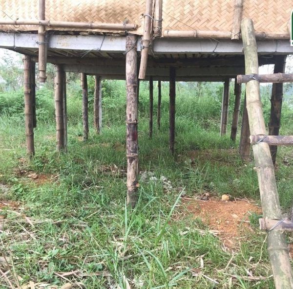 Building stilit house at Dong Mo 30Jul19 [Jack R] (1)