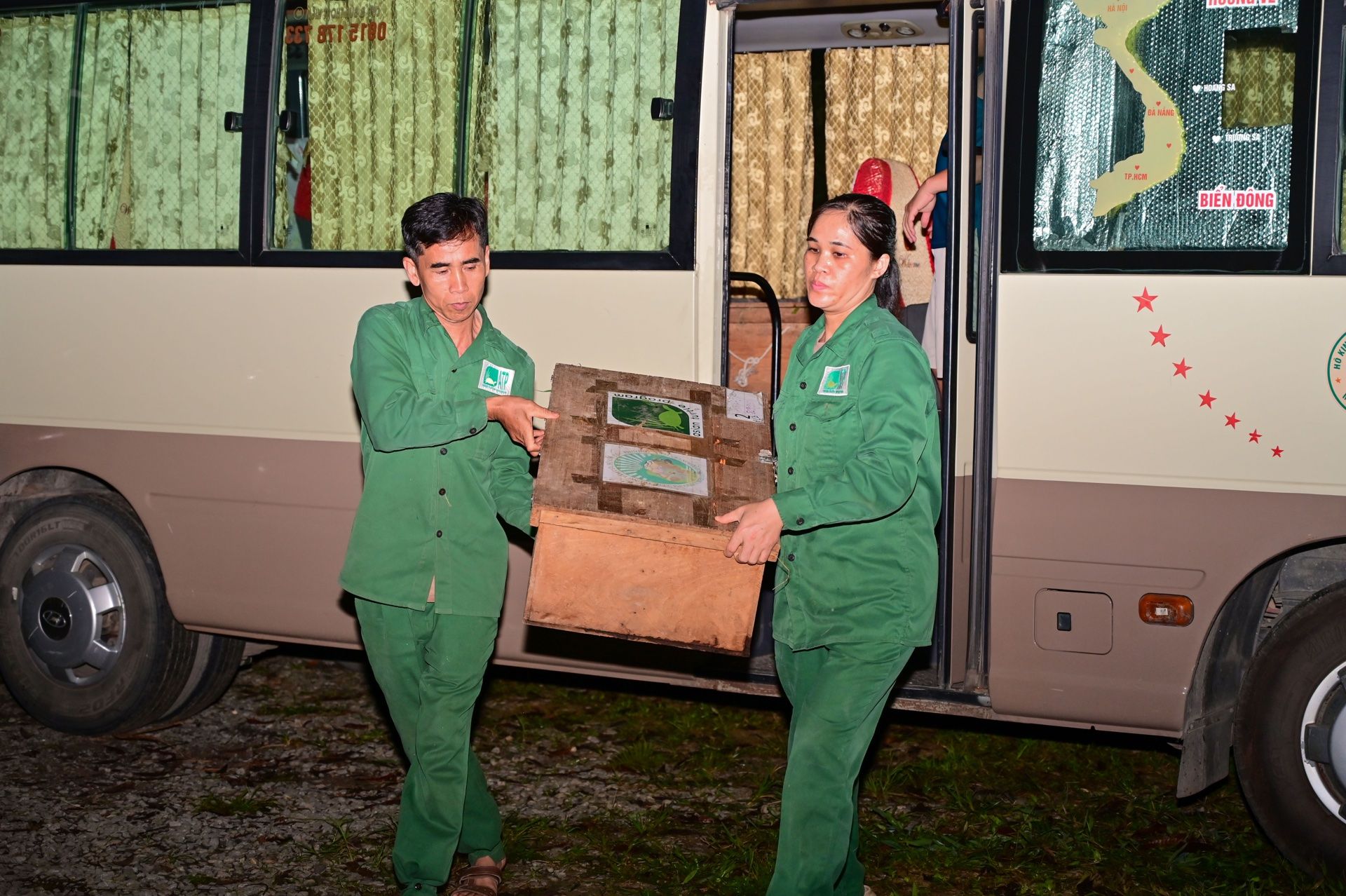 2 2026 05 12 272 turtles confiscated in Lang Son [CPNP  R] (4) WKM LOGO ATP